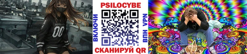 Псилоцибиновые грибы Cubensis  Купить закладки  Красноперекопск 